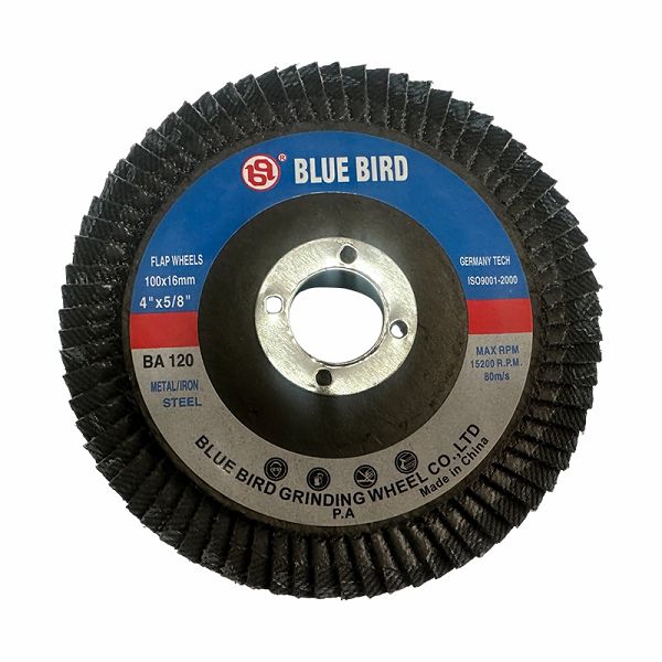 2 Inch Flap Disc